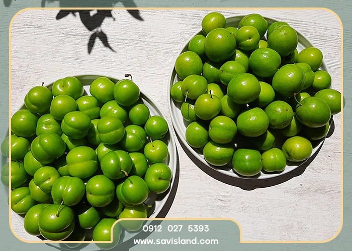 لیست میوه‌های ترش رایج و اثر آن‌ها بر معده